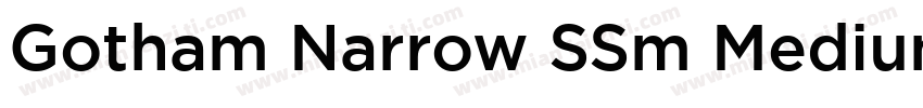 Gotham Narrow SSm Medium字体转换
